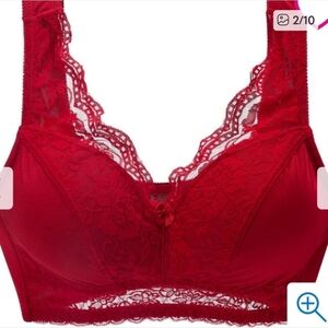 NWT Rhonda Shear Classic Lace Trim Pin-up Bra - Red 87564